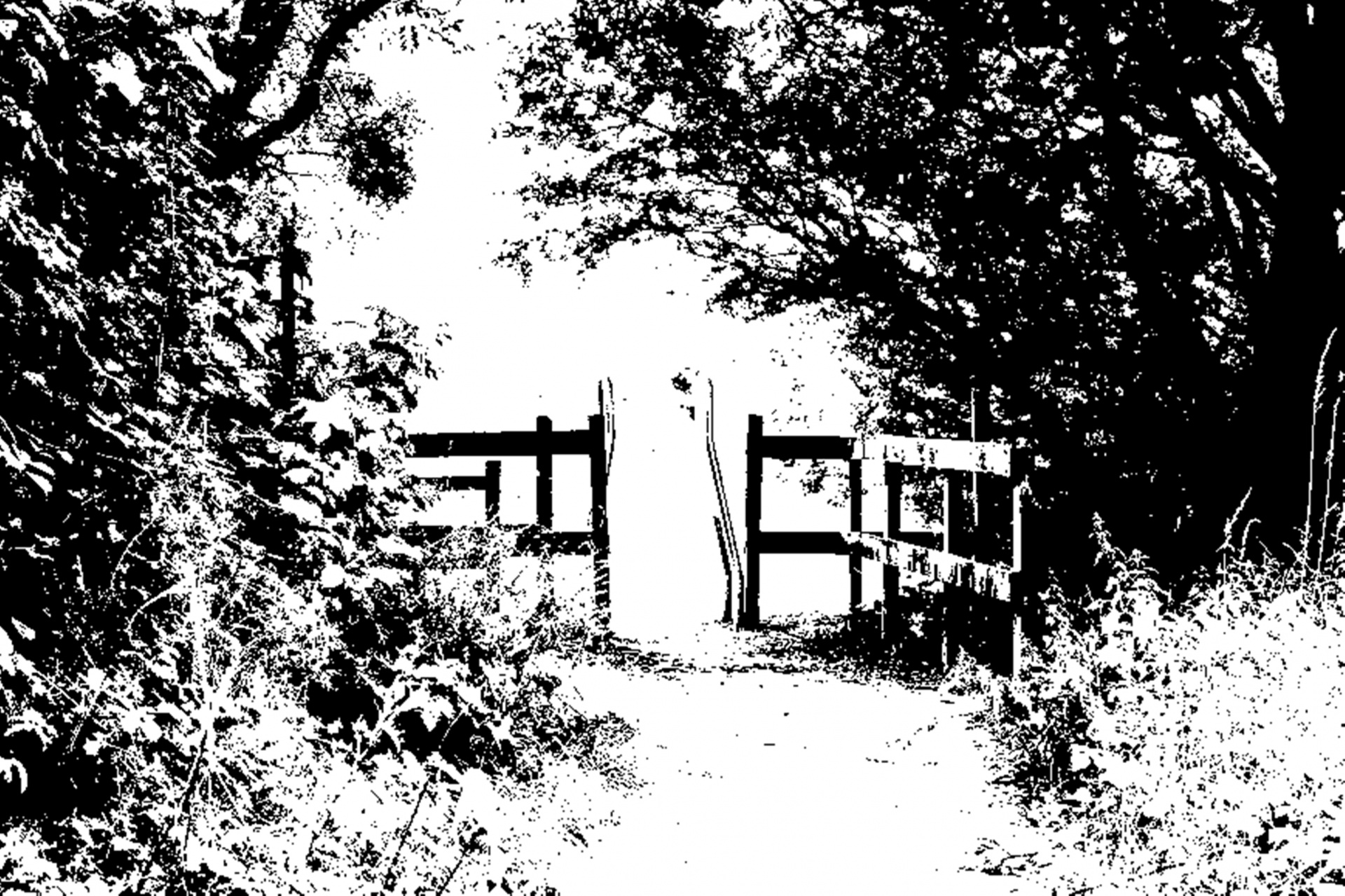 black white gateway black free photo