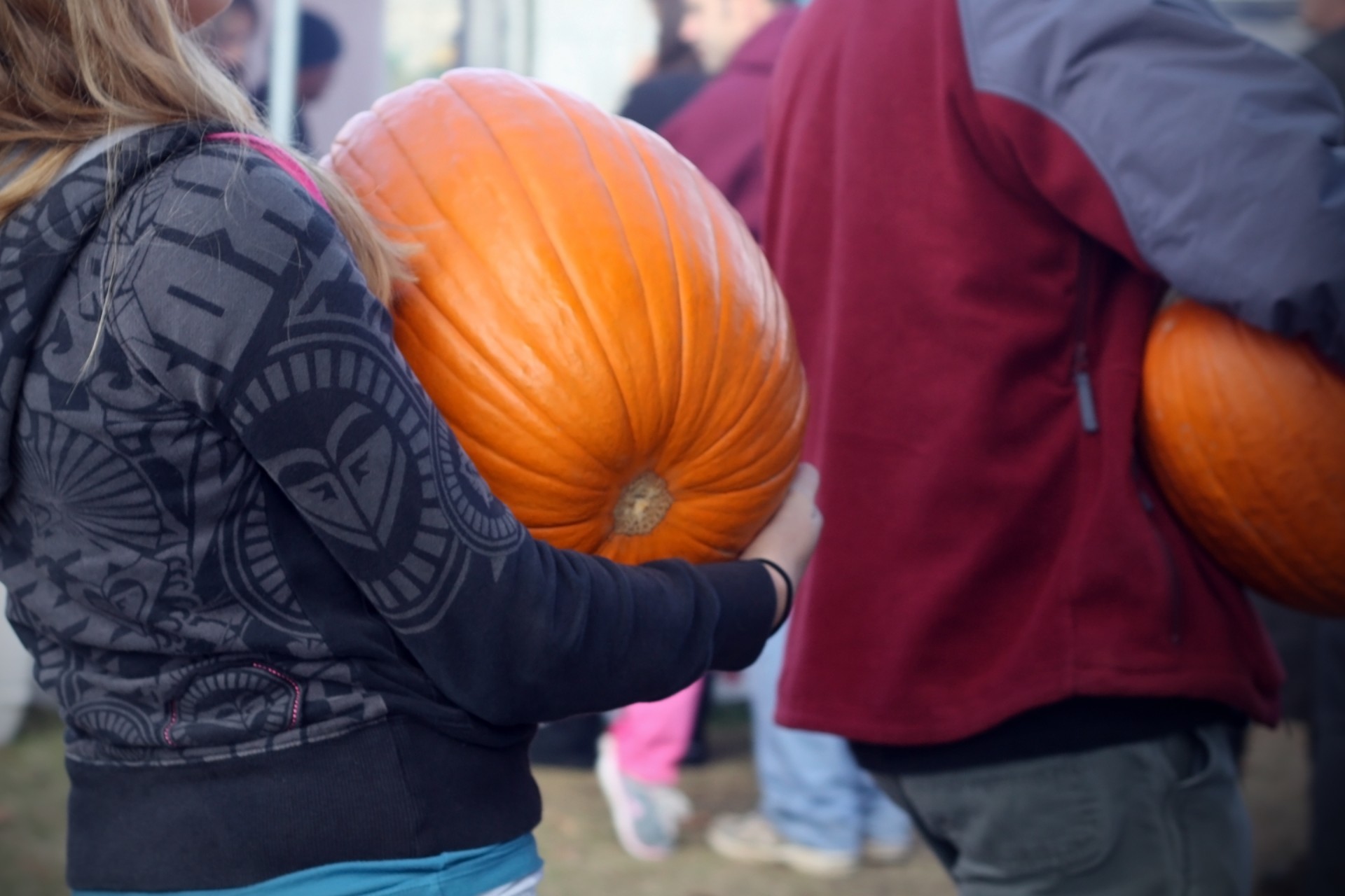 people carrying pumpkins free photo