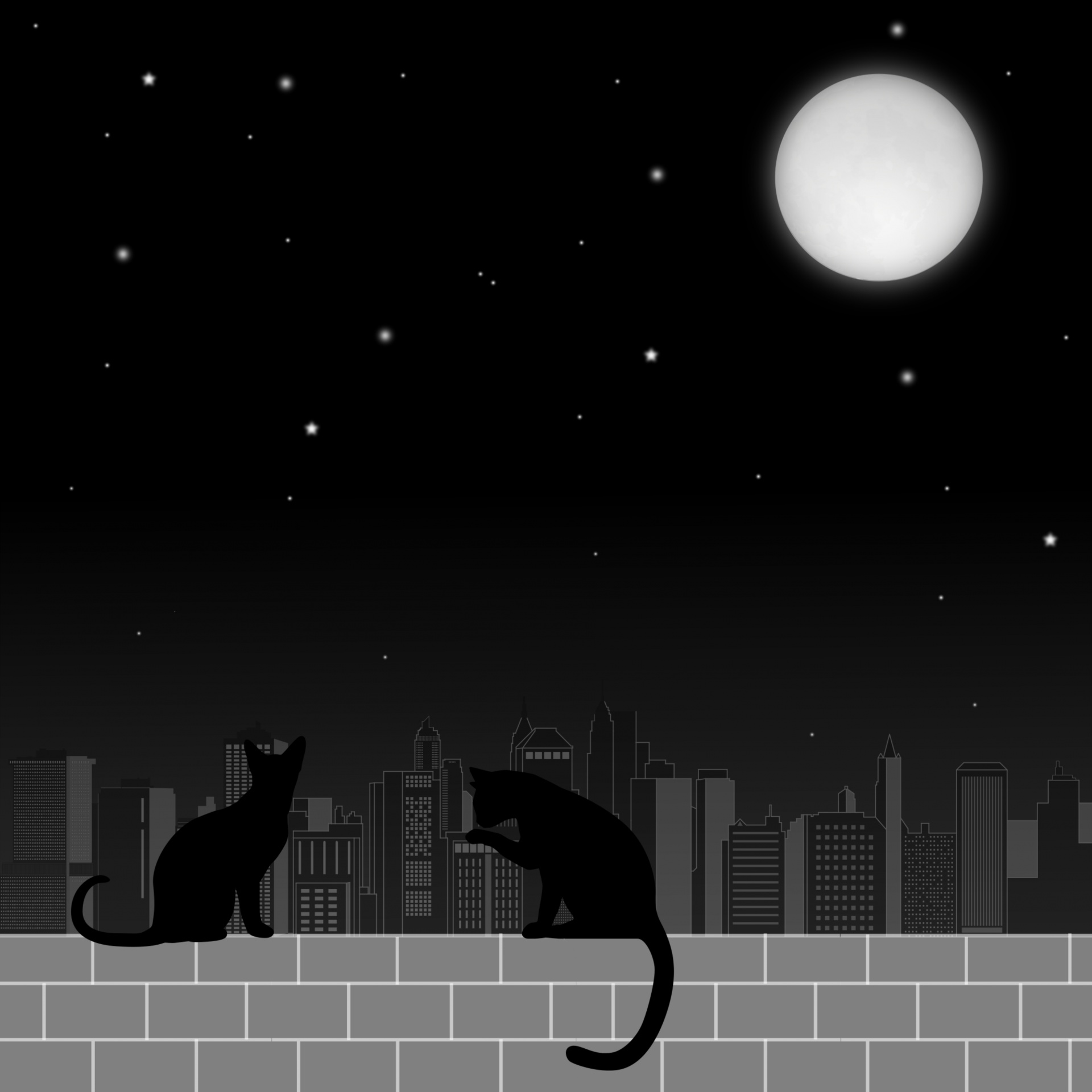 Кошка ночь Луна