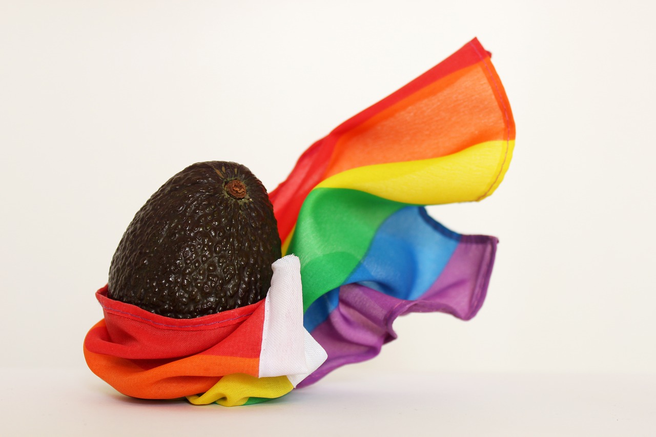 gay fruit rainbow flag free photo