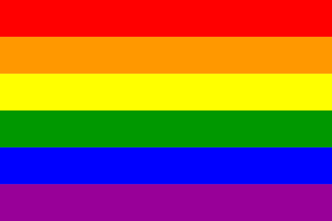 gay flag pride free photo