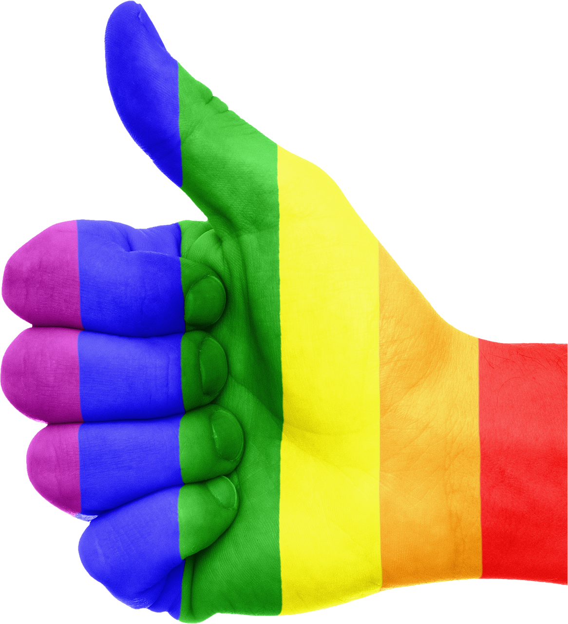 gay flag hand free photo