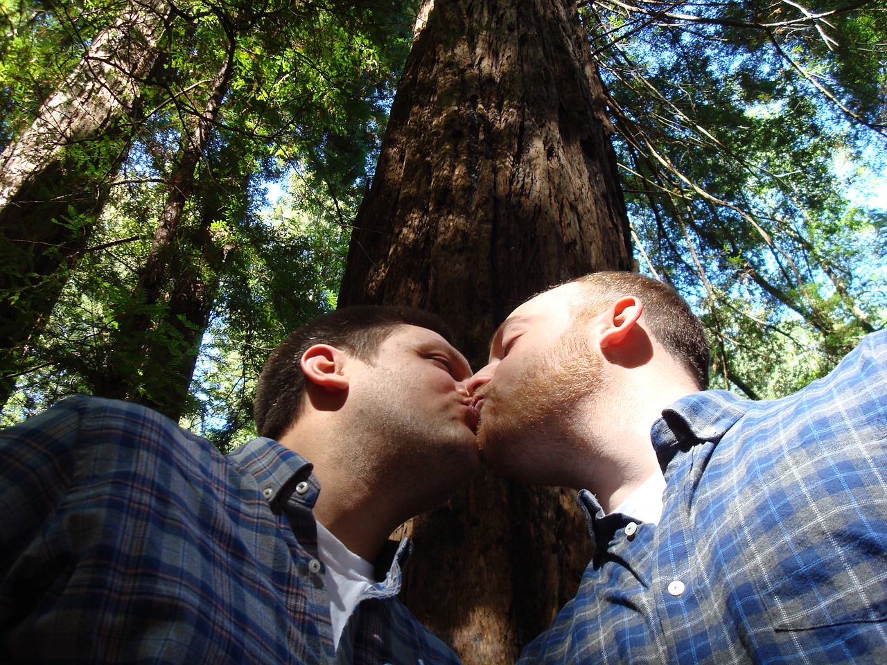 gay marriage love kiss free photo