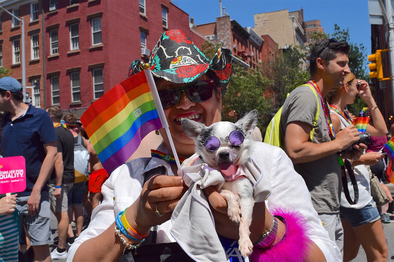 gay pride pride fest dog free photo