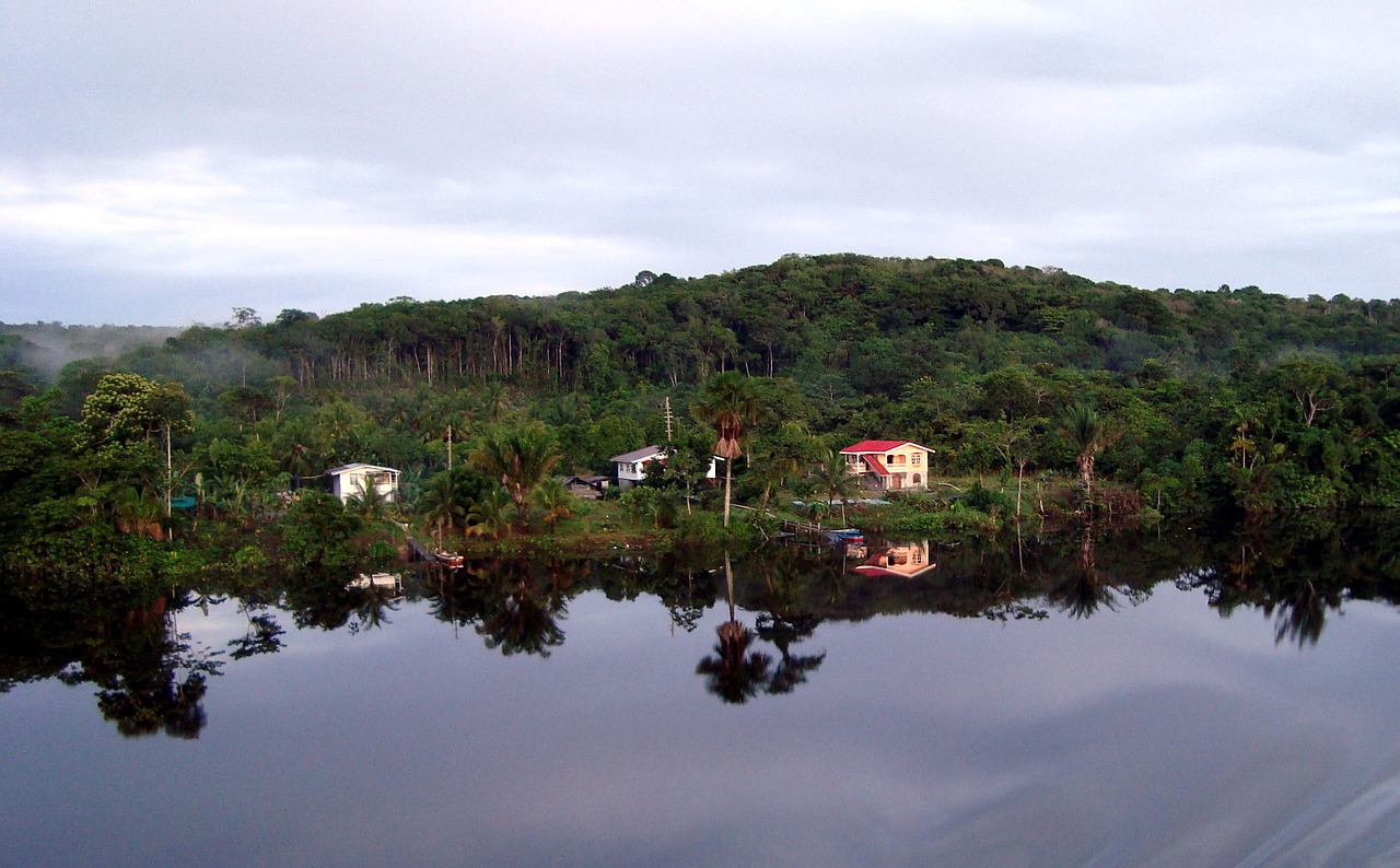 gayana jungle river free photo