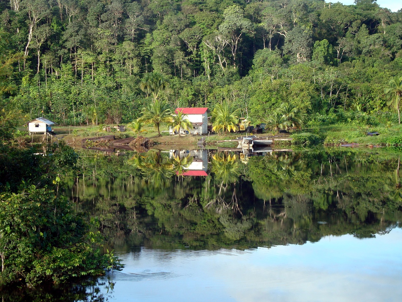 gayana jungle river free photo