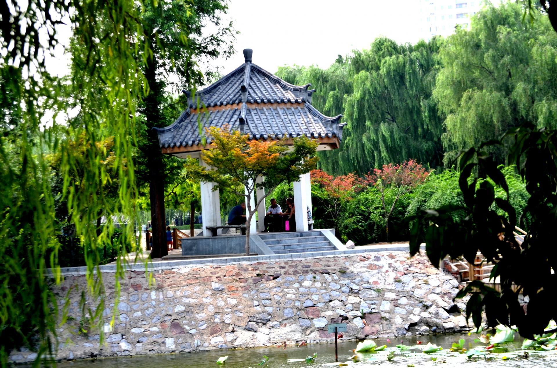 gazebo architecture asian free photo