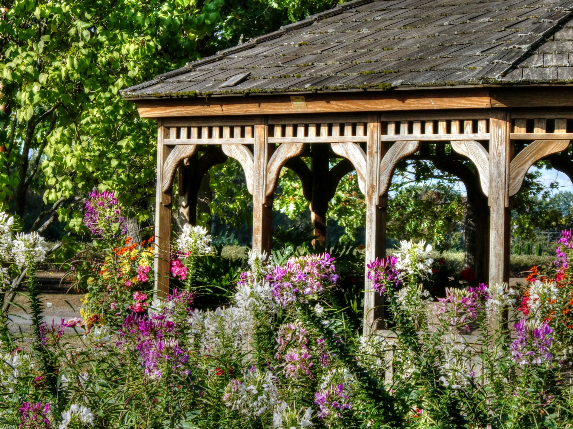 gazebo structure flower free photo