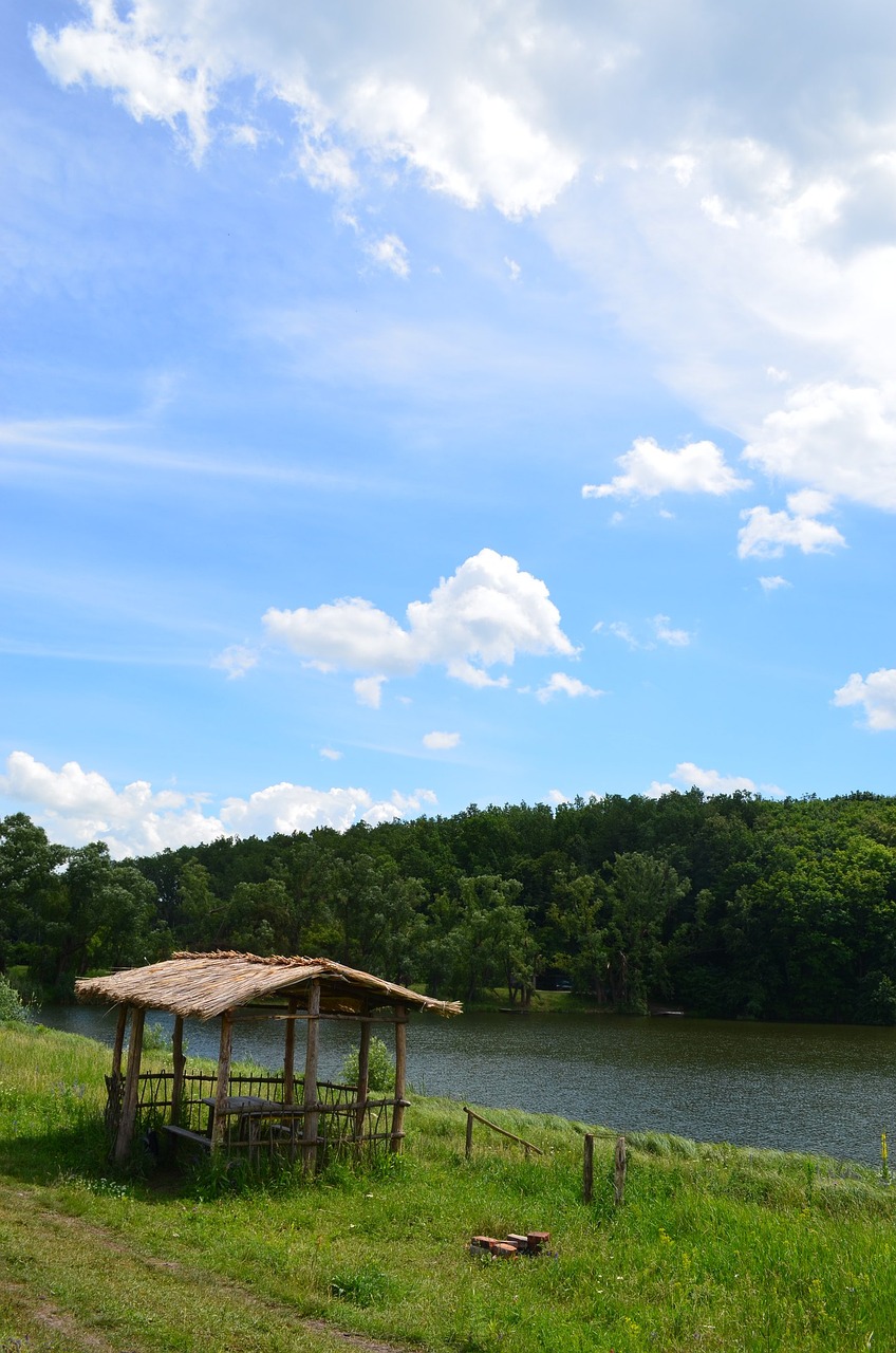 gazebo reed pond free photo