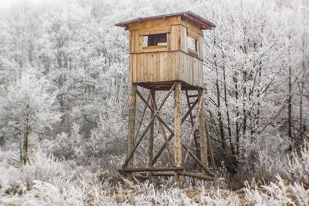 gazebo winter hunting free photo