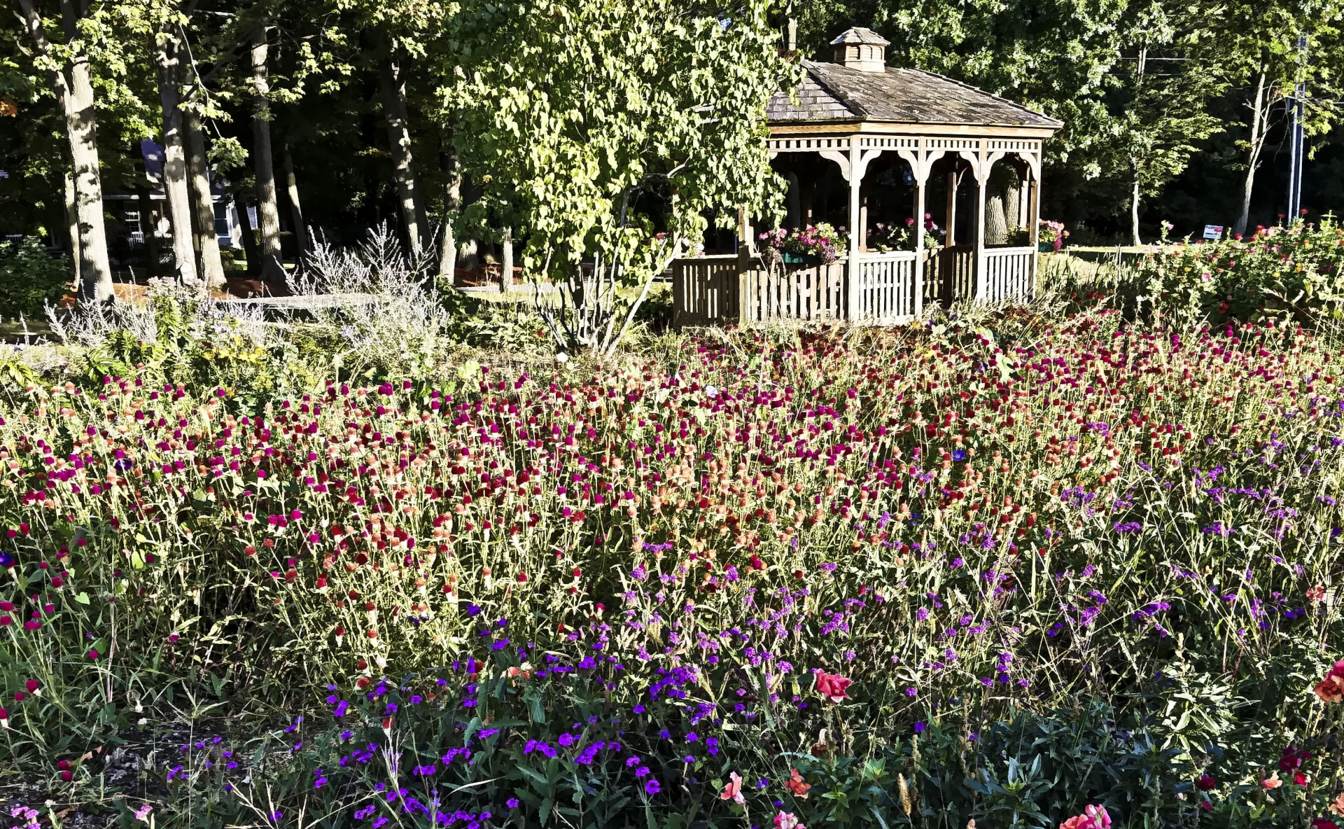 gazebo garden flowers free photo