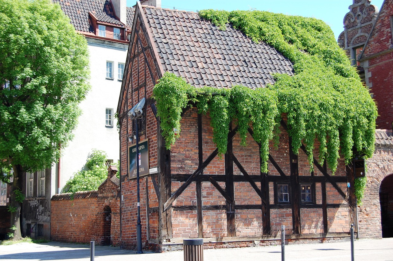 gdańsk  building  ivy free photo