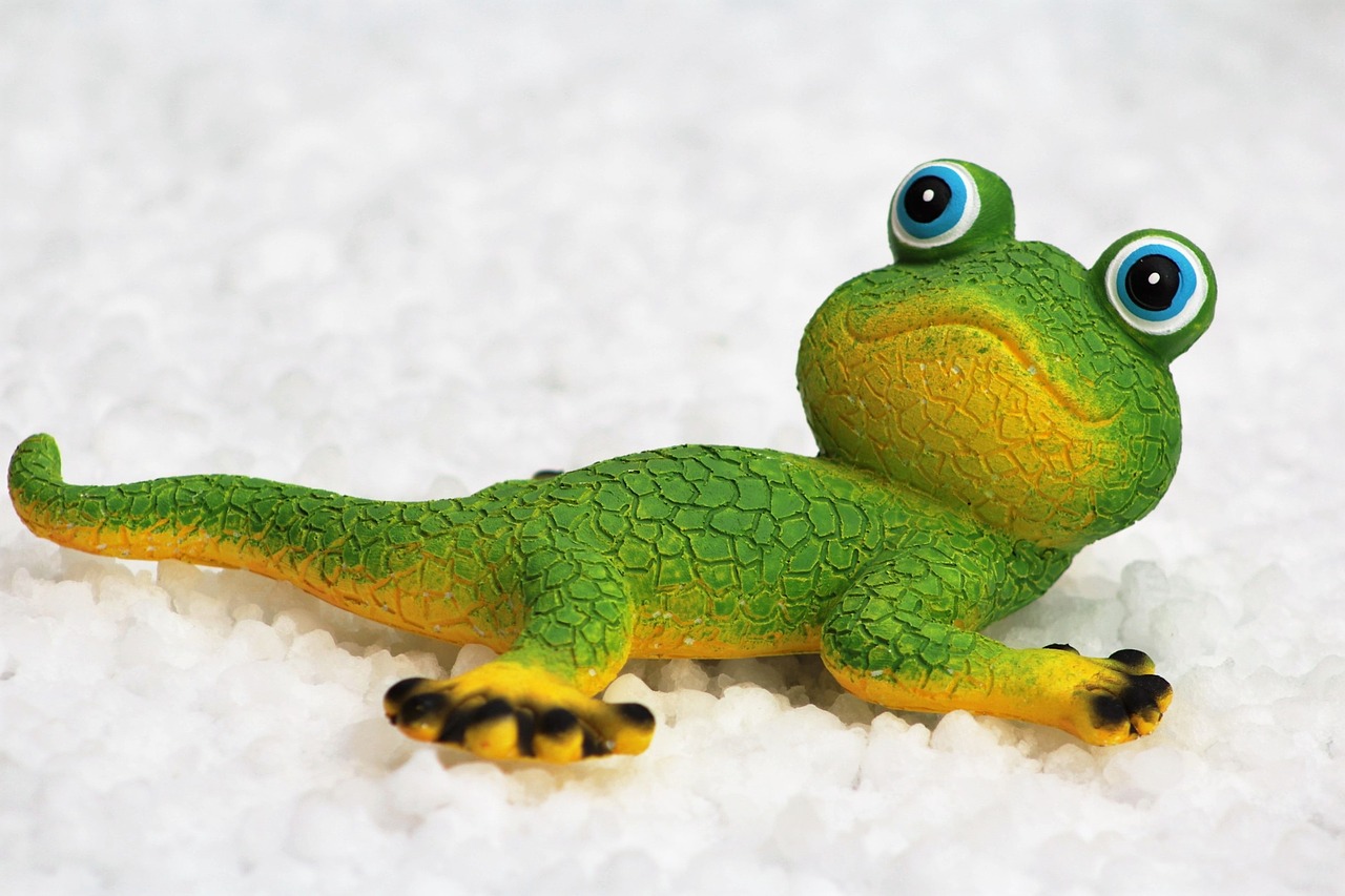 gecko yellow green free photo