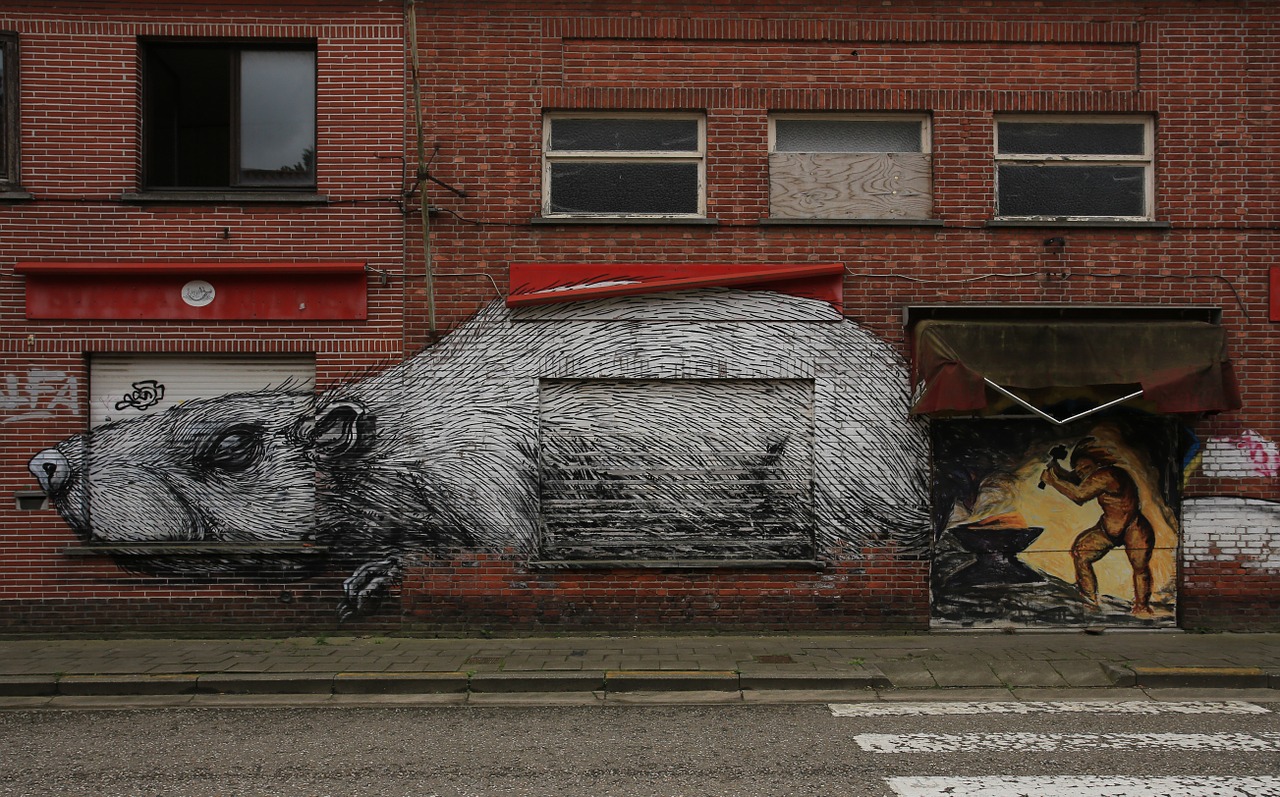 geisterstadt doel in belgium rat graffiti free photo