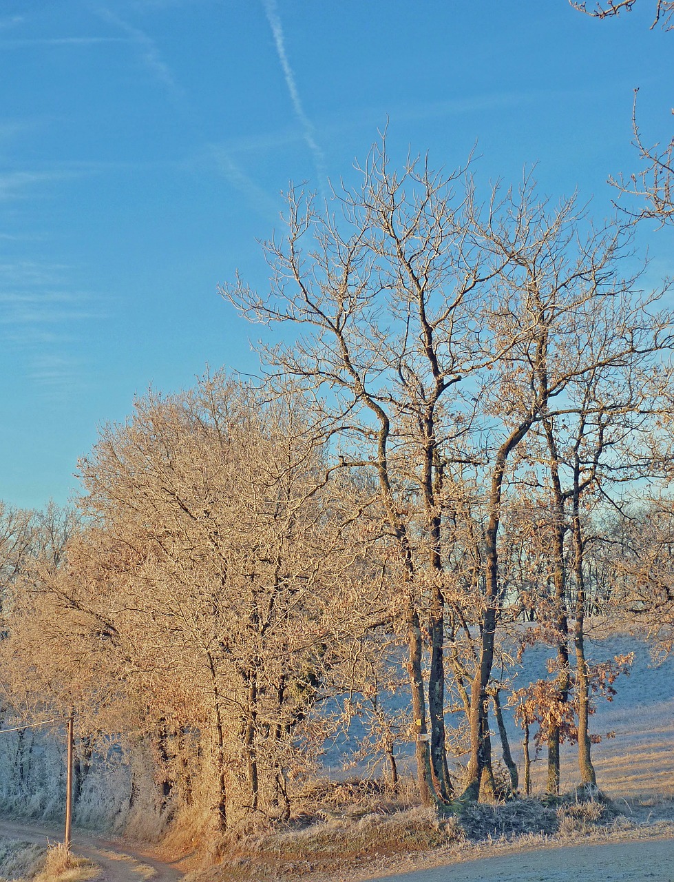 gel frost winter free photo