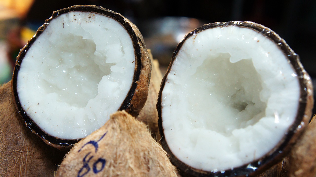 gelatinous coconut  gelatinous mutant coconut  macapuno free photo