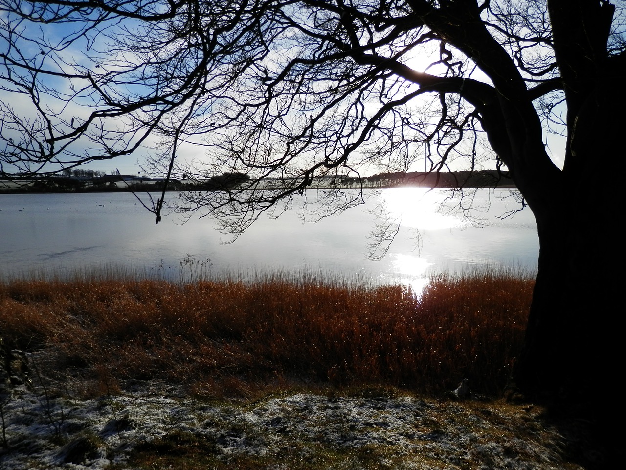 gelly loch loch lake free photo