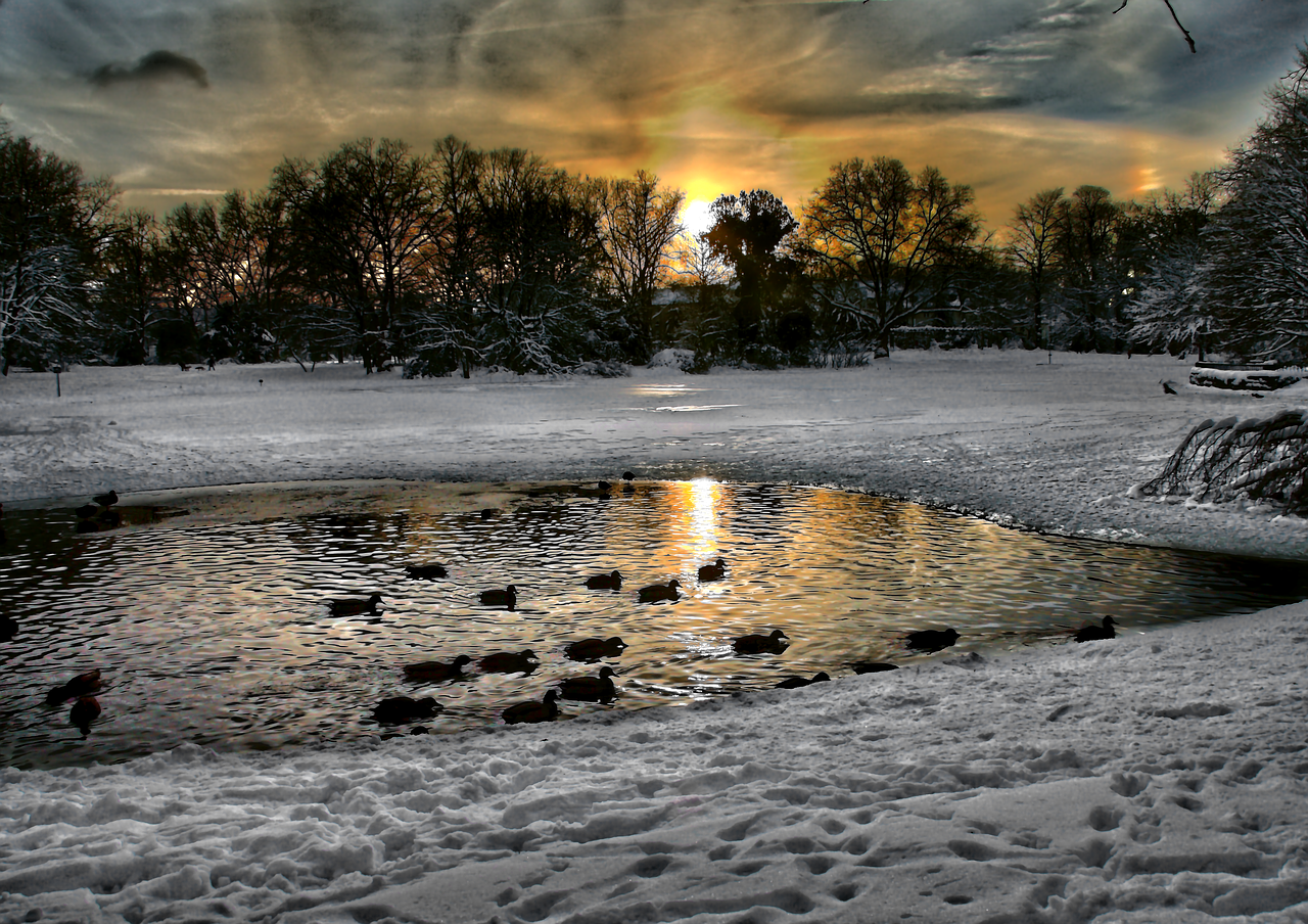 gelsenkirchen bulmker park snow landscape free photo