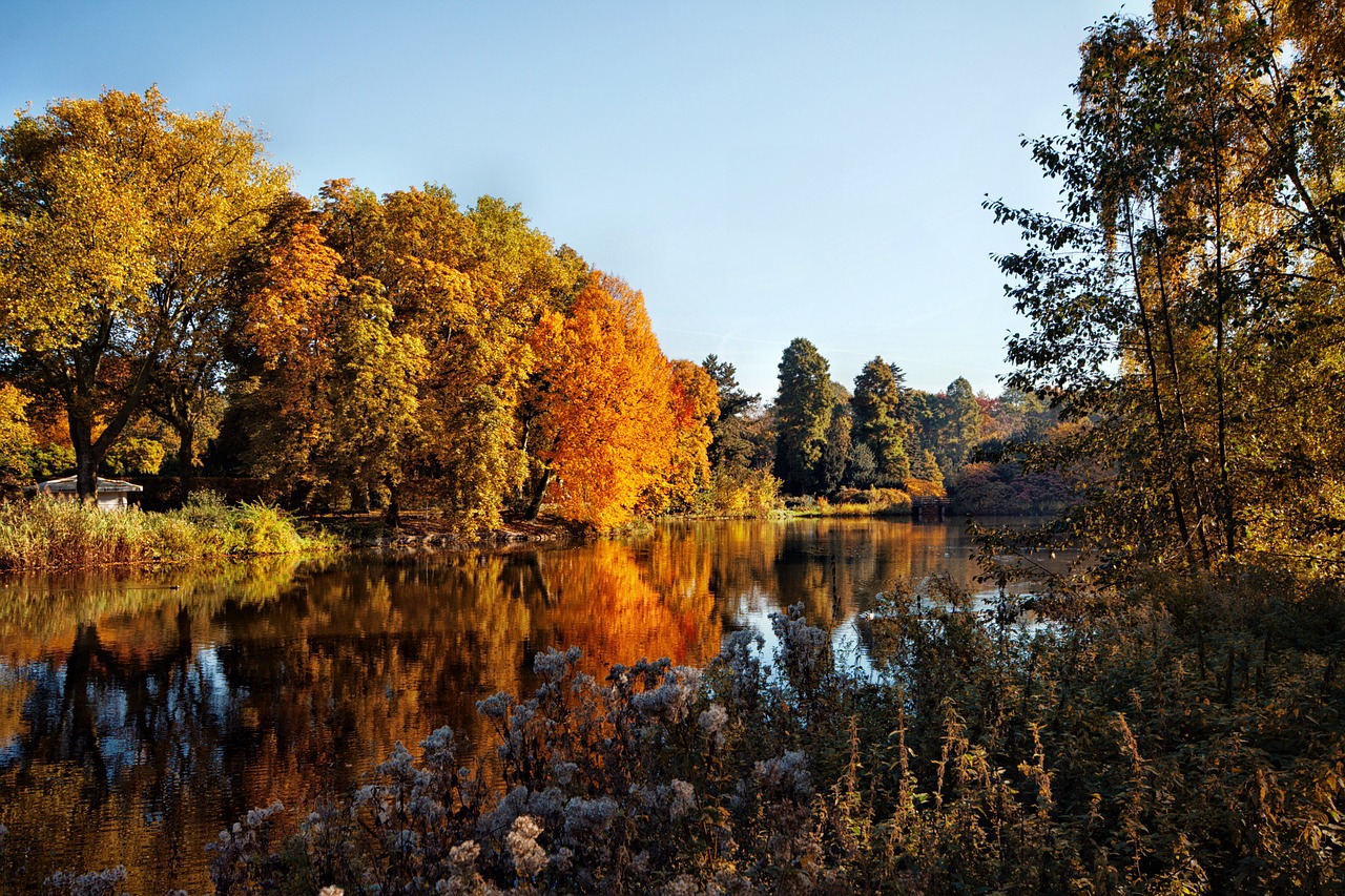 gelsenkirchen castle mountains autumn free photo