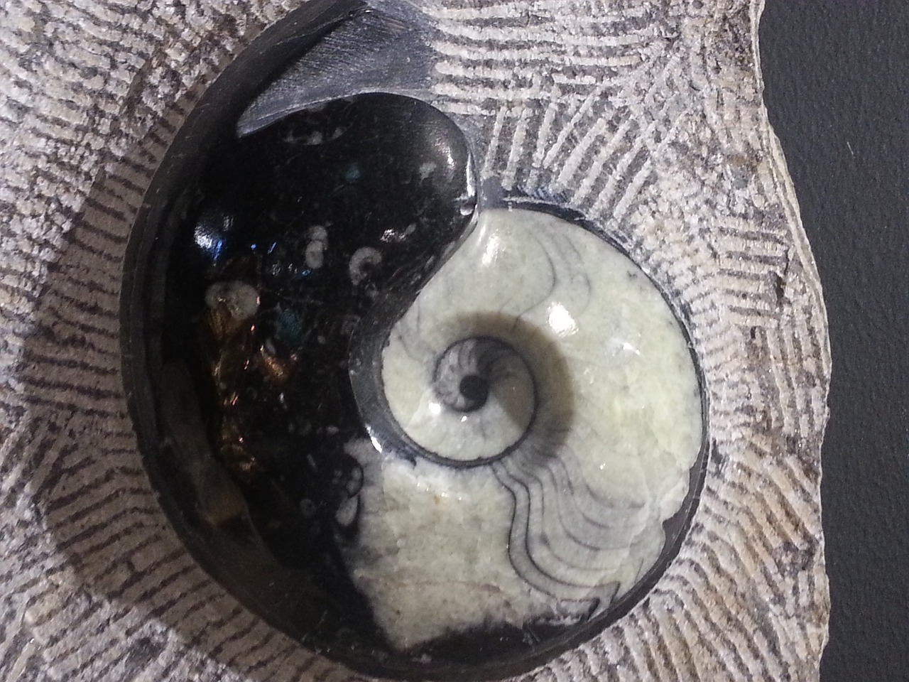 gem healing stone yin yang free photo