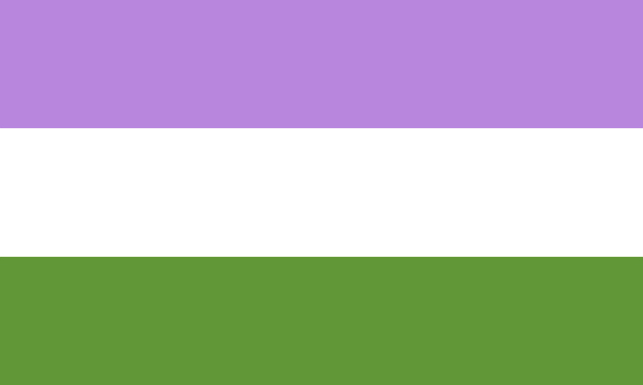 genderqueer flag pride free photo