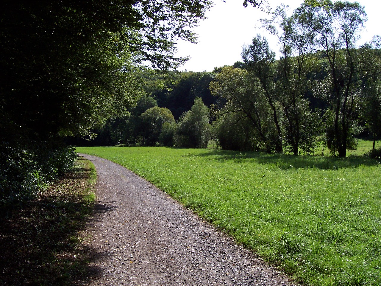 gengenbachtal königsbach stein forest and meadow free photo