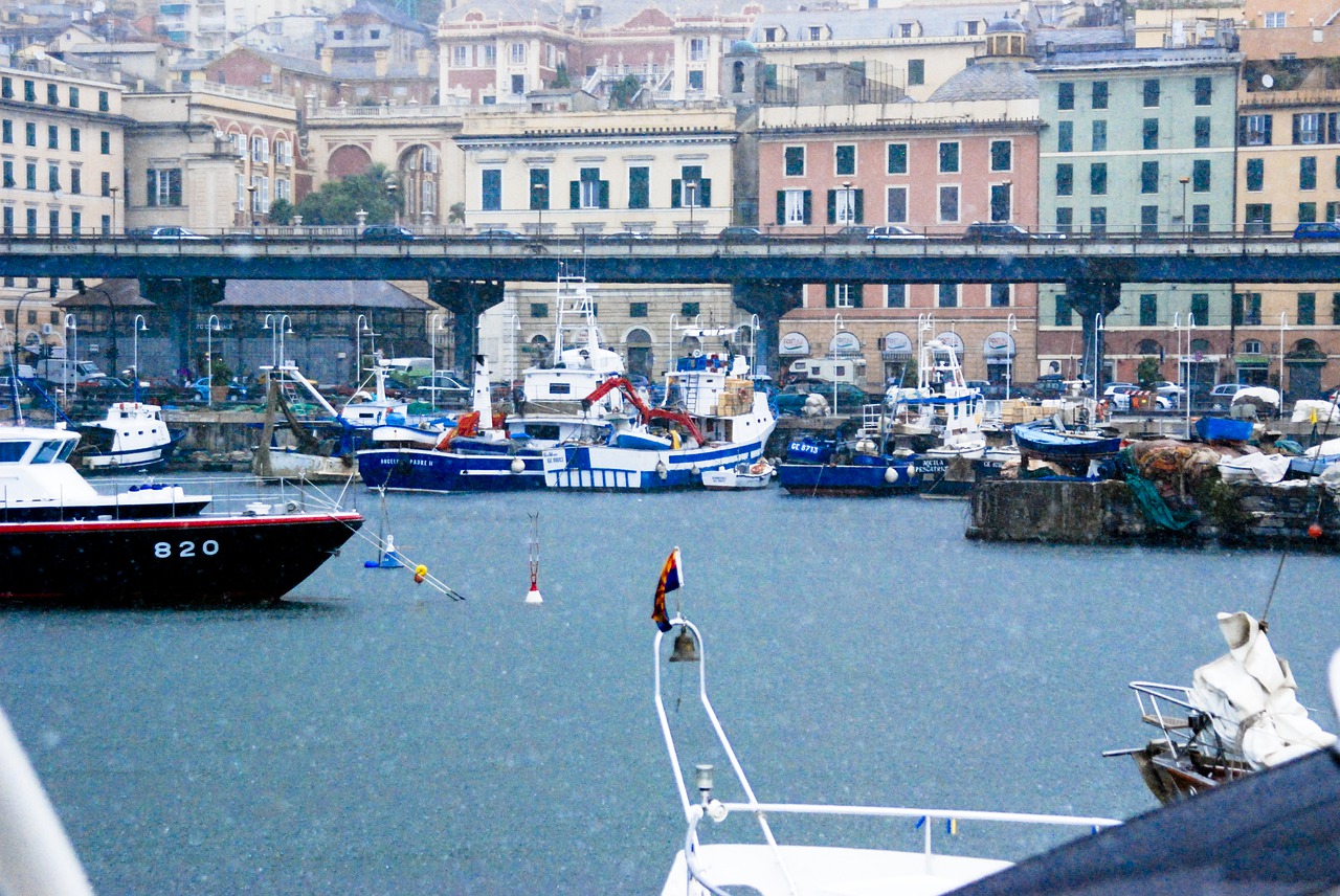 genoa  rain  marina free photo