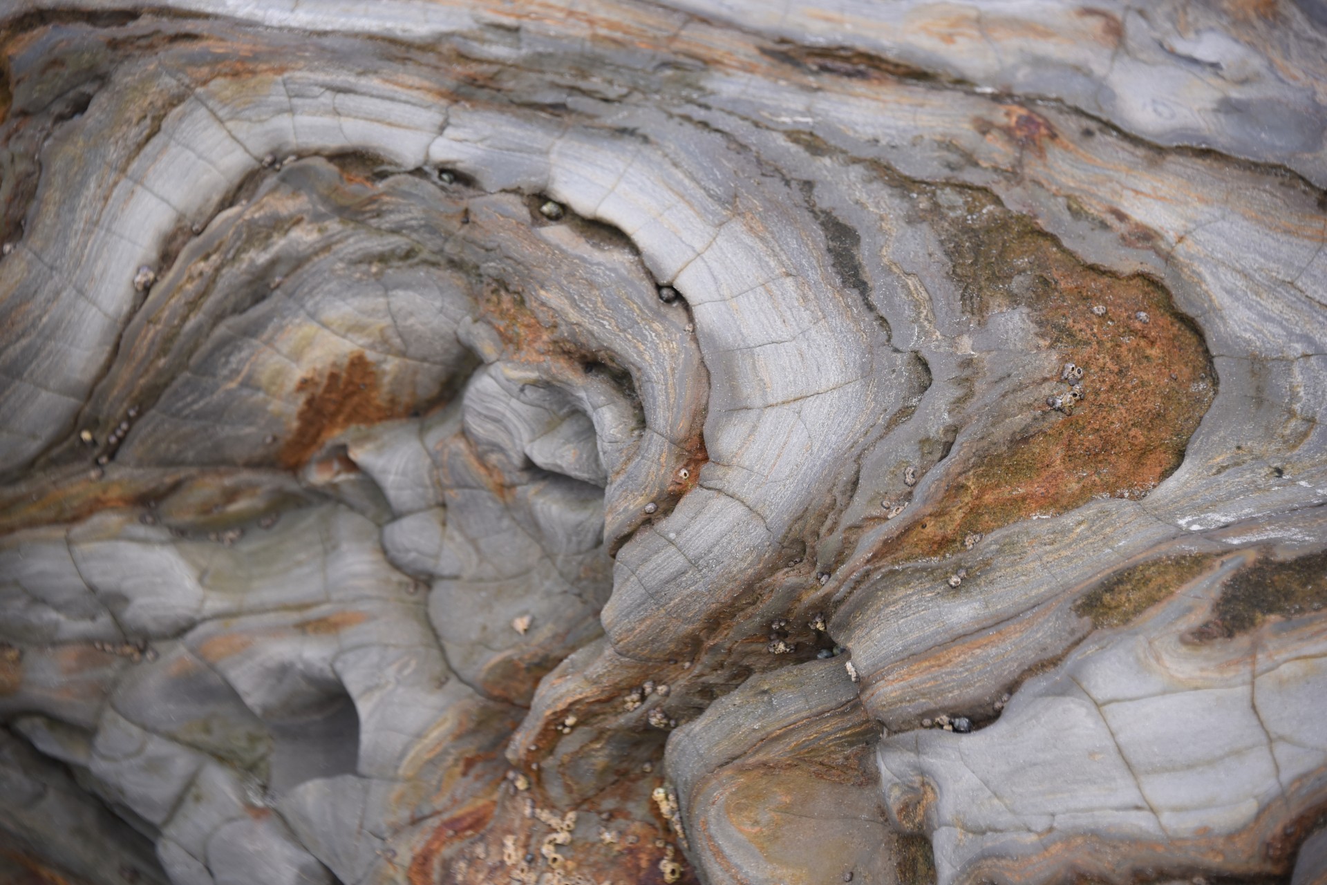 geology rock striation free photo