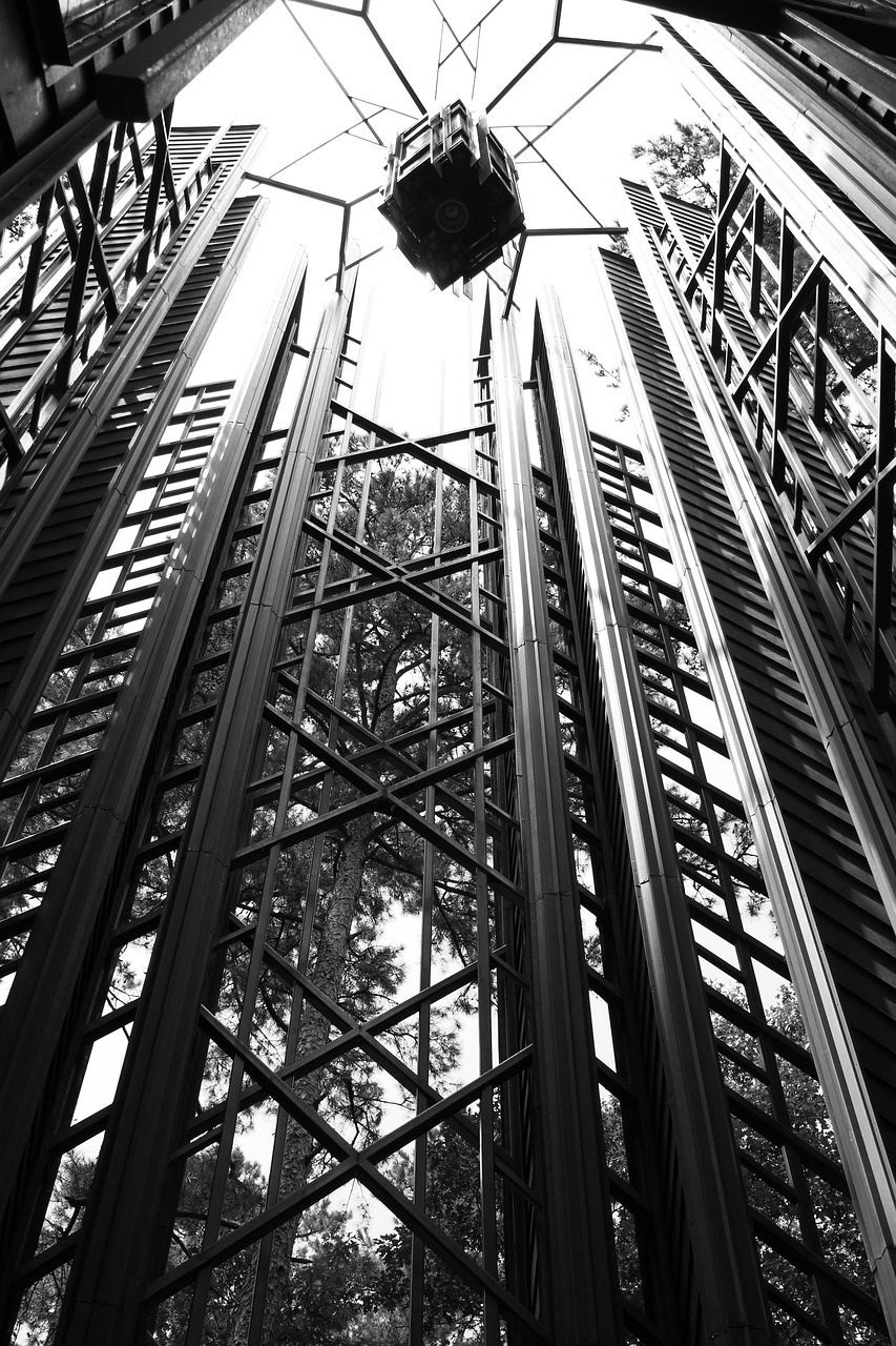 geometric garvan botanical gardens bell tower free photo