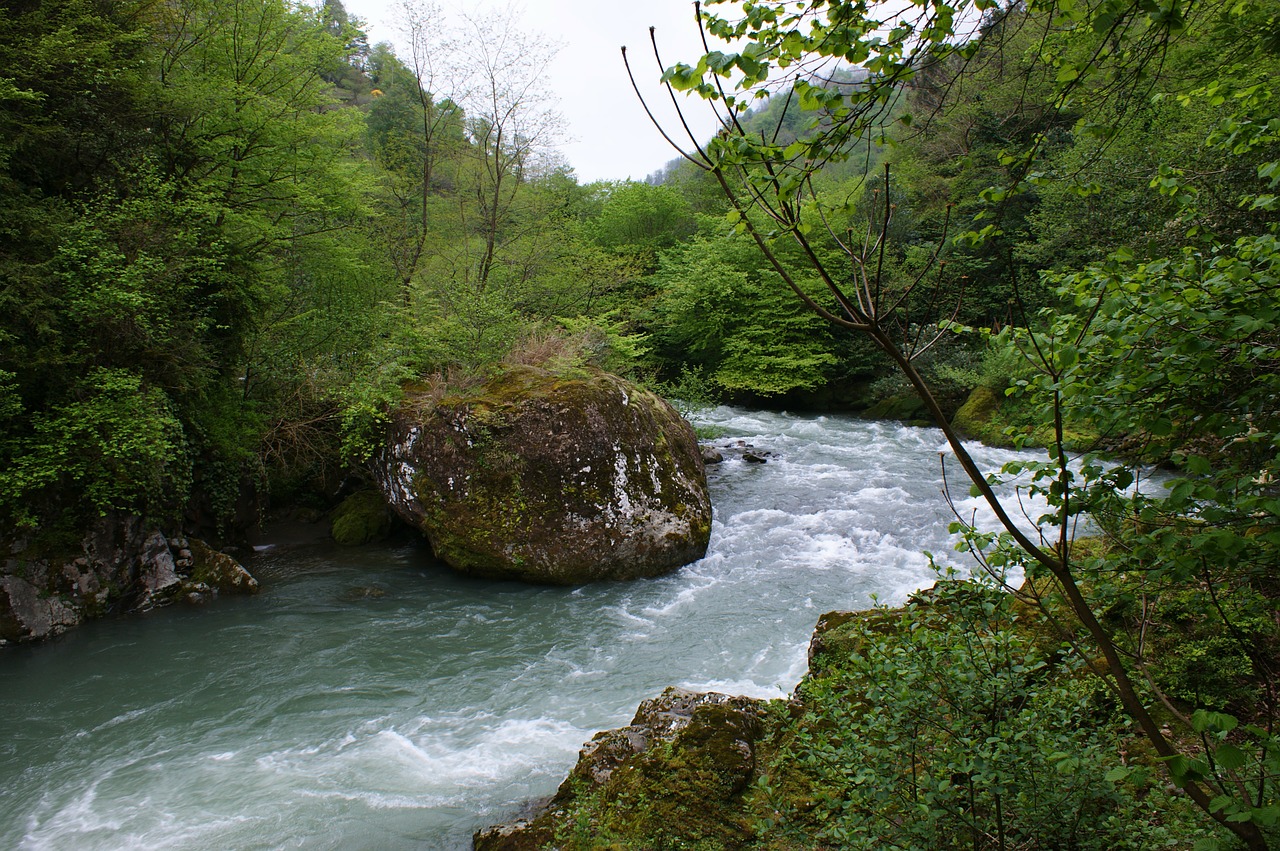 georgia river kintrishi free photo
