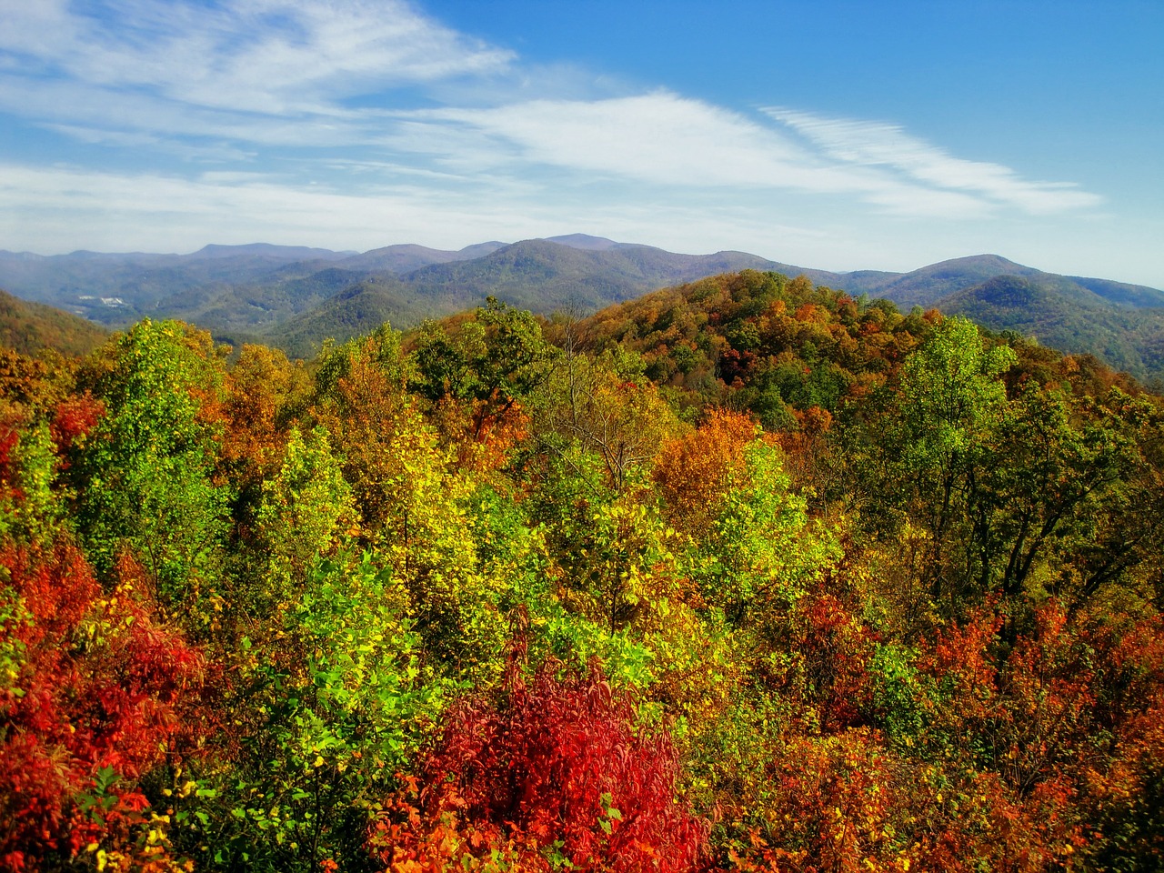 georgia usa autumn free photo