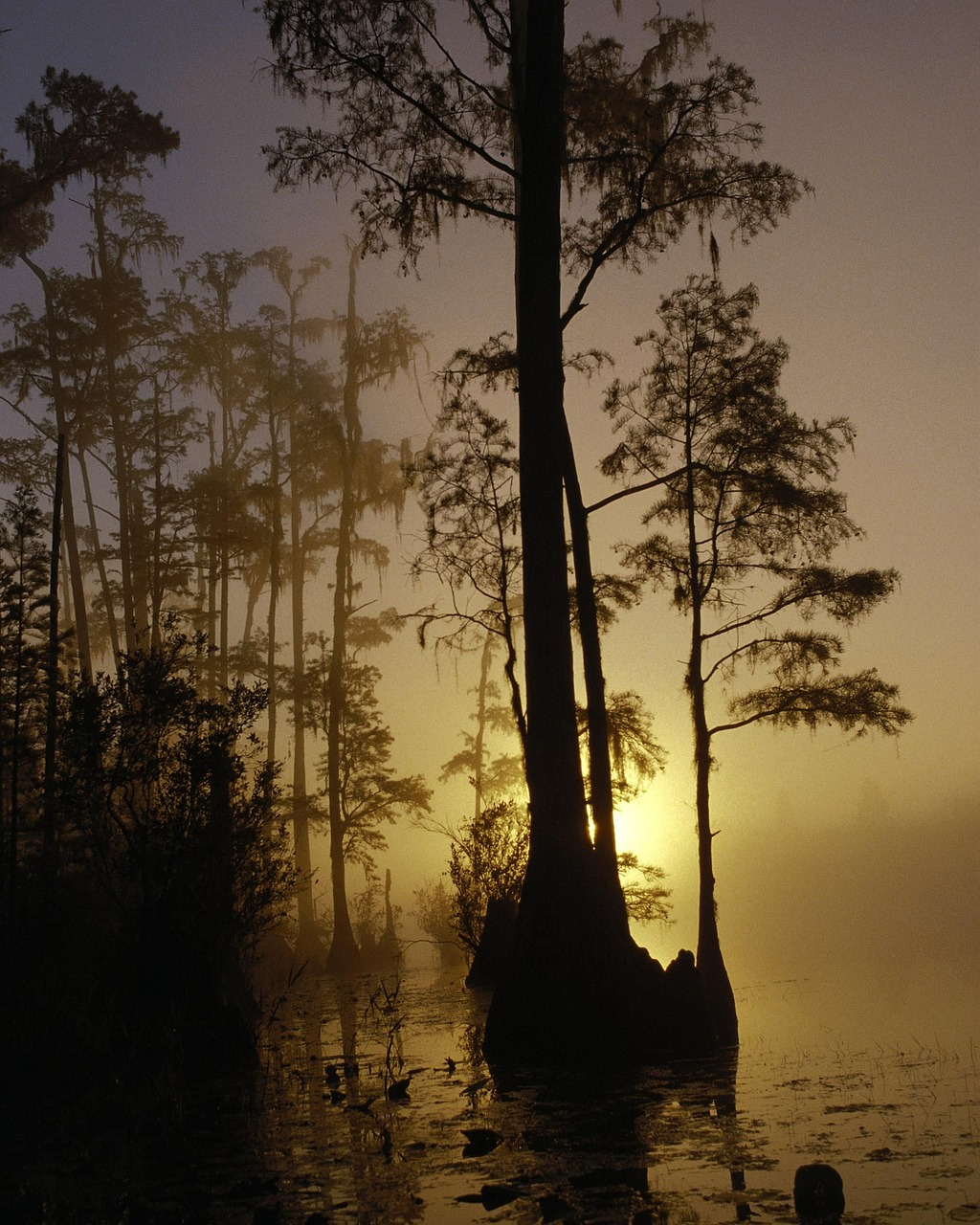 georgia refuge wildlife free photo