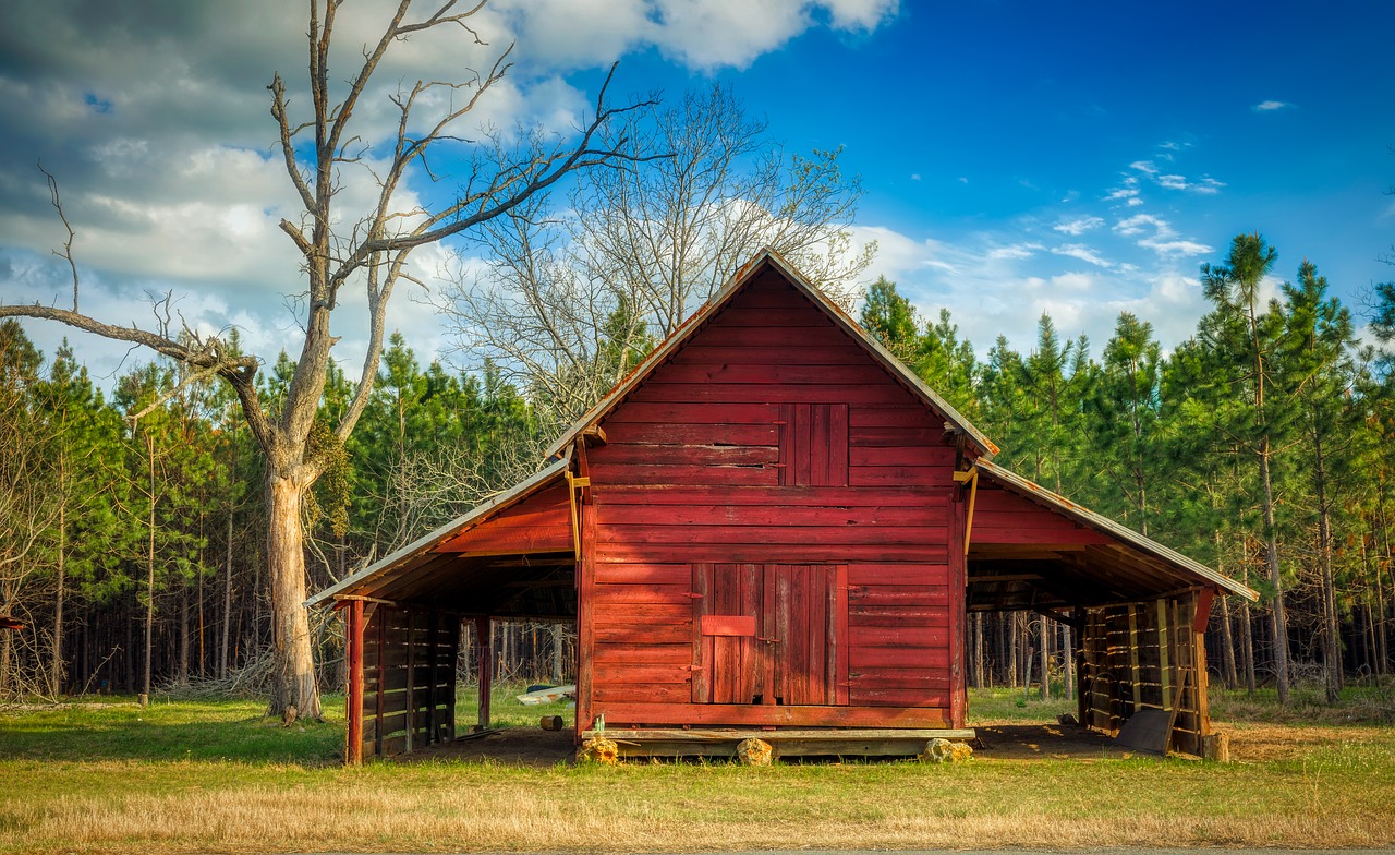 georgia  america  farm free photo