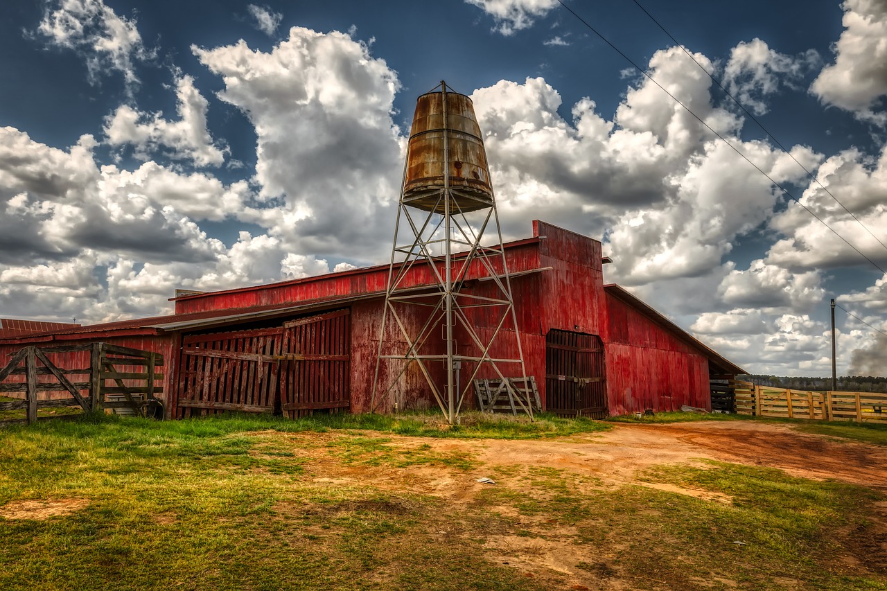 georgia  america  farm free photo