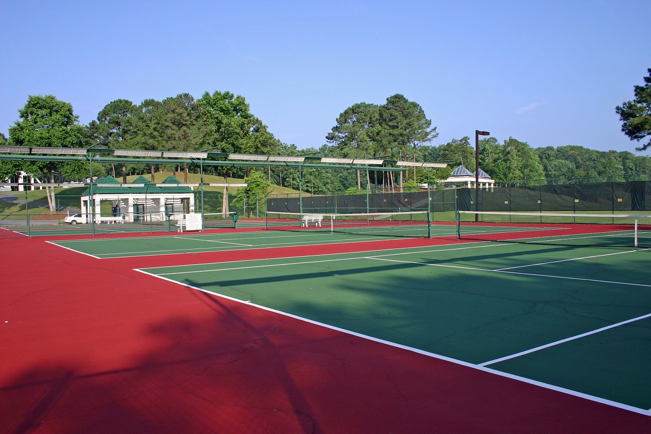 georgia tennis court court free photo