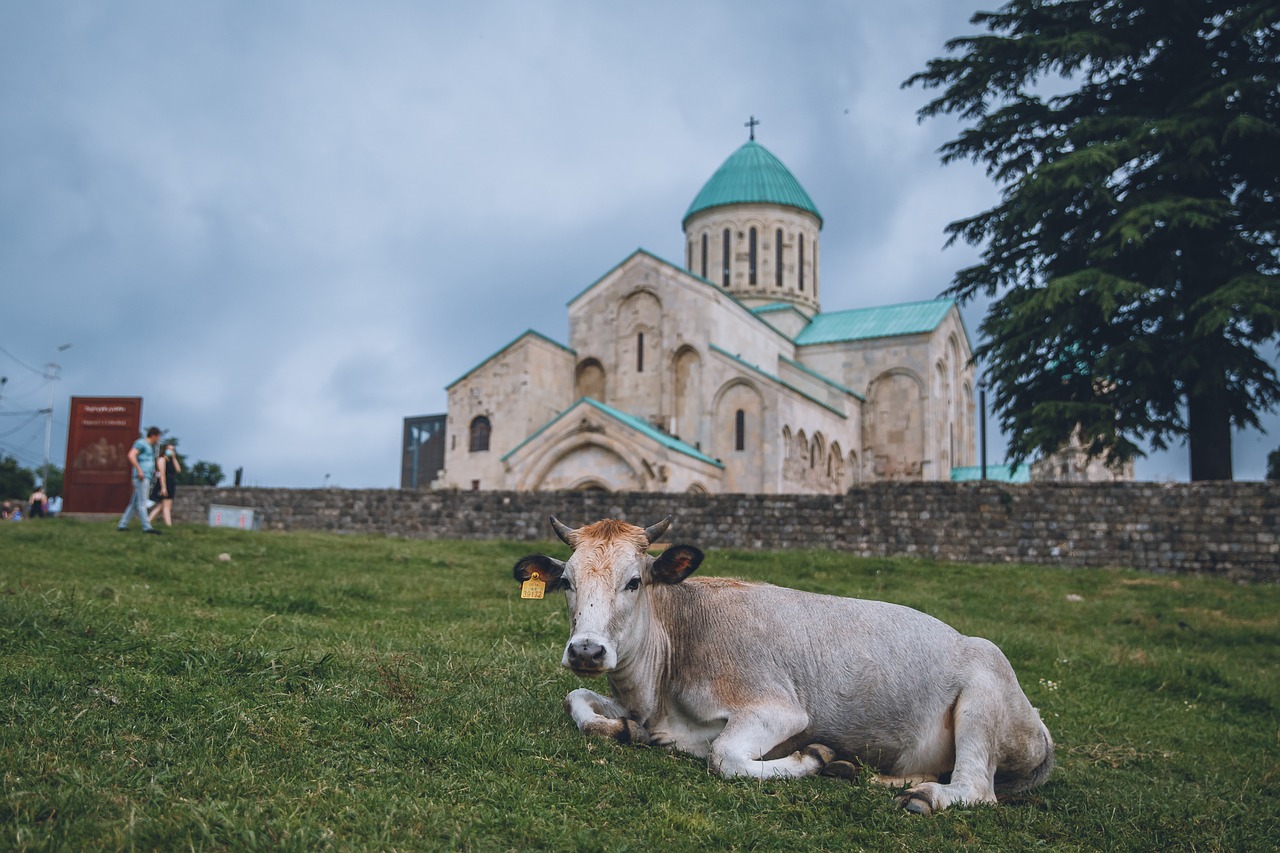 georgia holy trinity church cow the scenery free photo