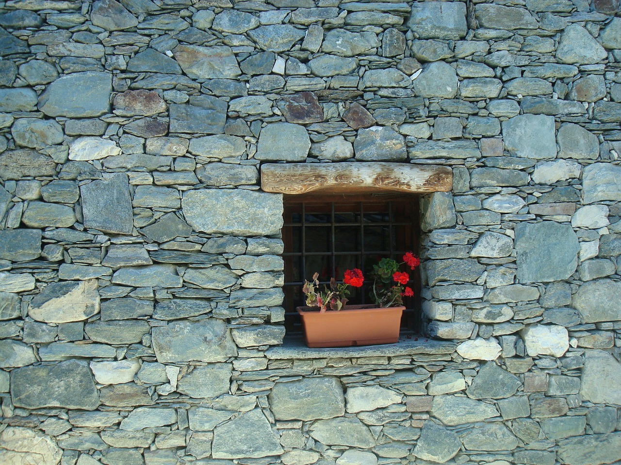 gerani stone wall house free photo