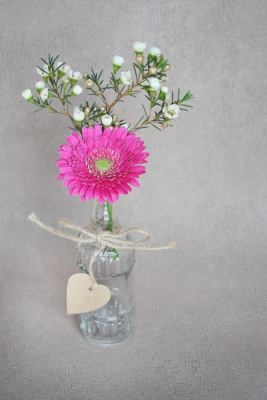 gerbera frangipani white free photo