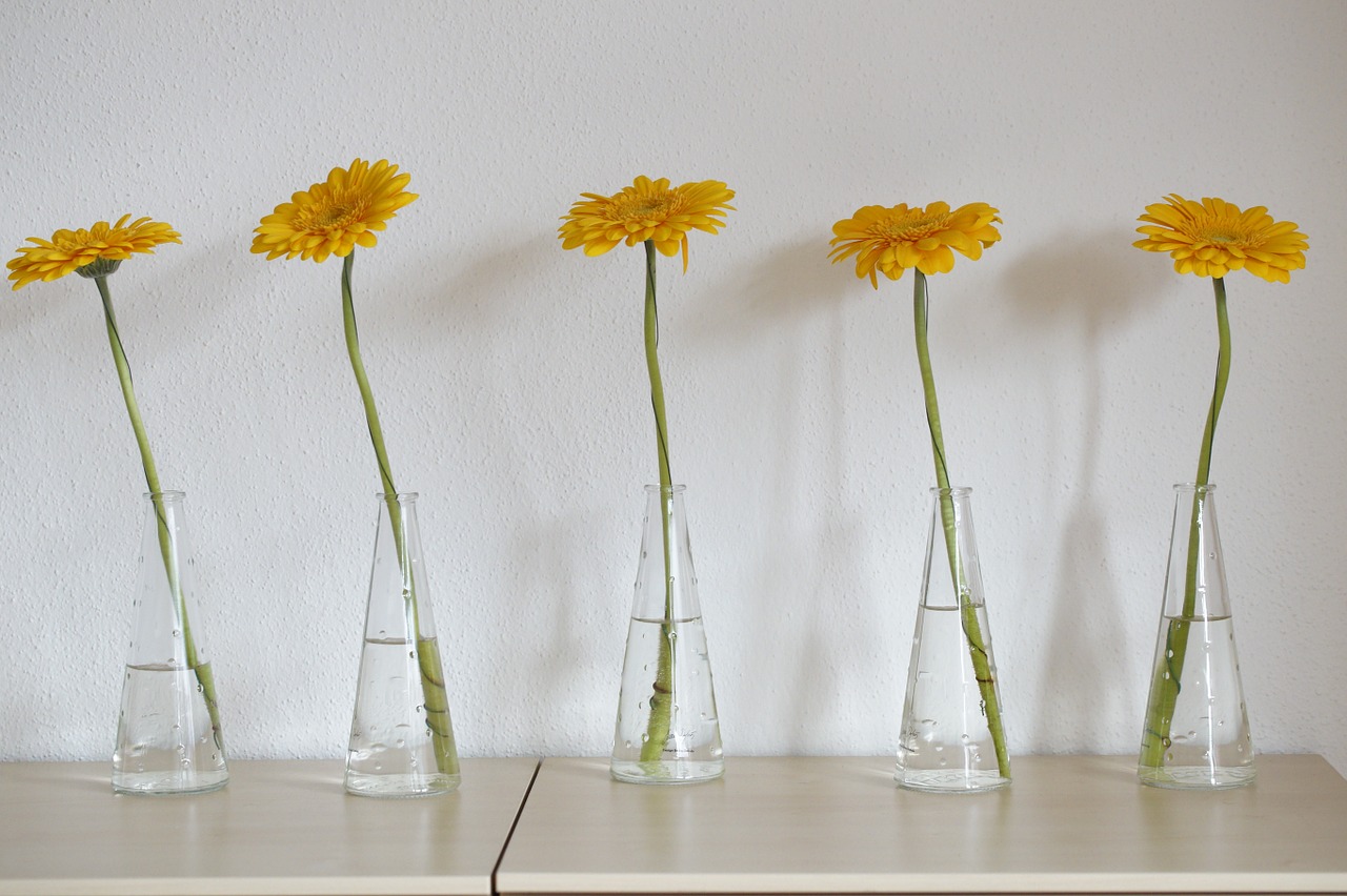 gerbera yellow flower free photo