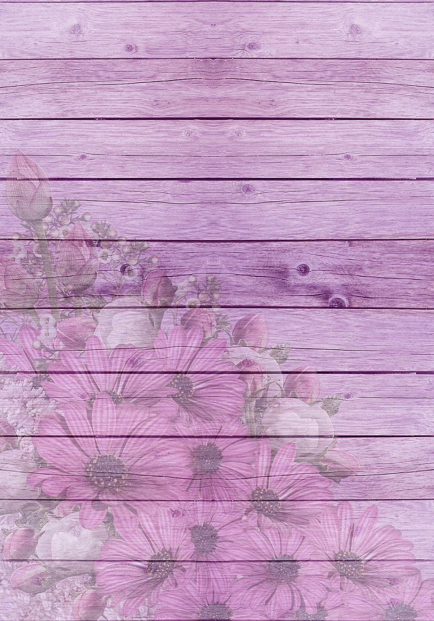 gerbera lilac pink free photo