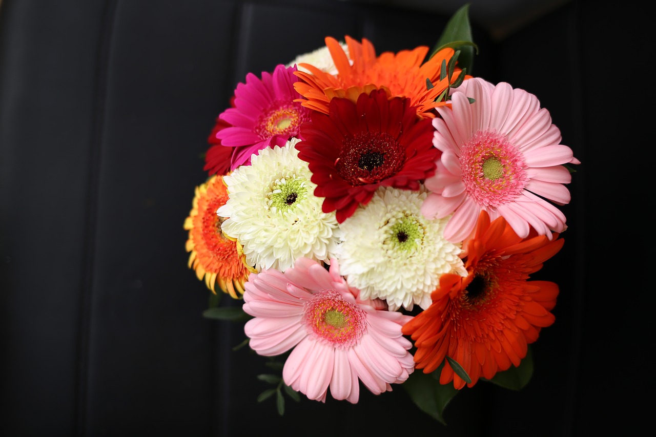 gerbera  daisy  bouquet free photo