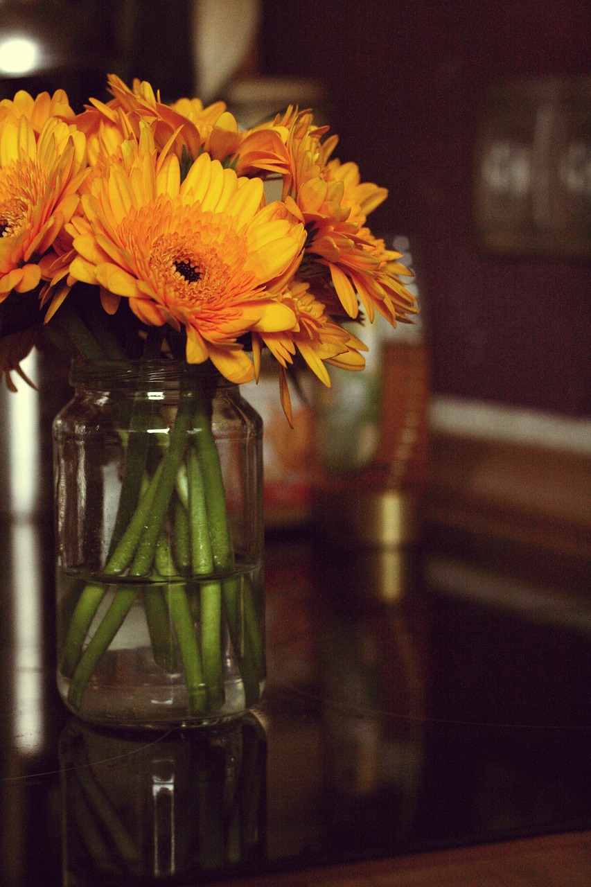 gerbera  flowers  blossom free photo