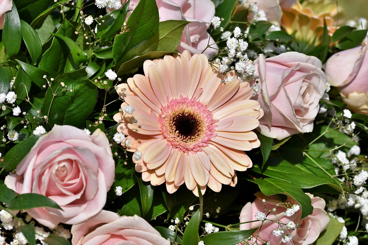 gerbera  arrangement  floral arrangement free photo