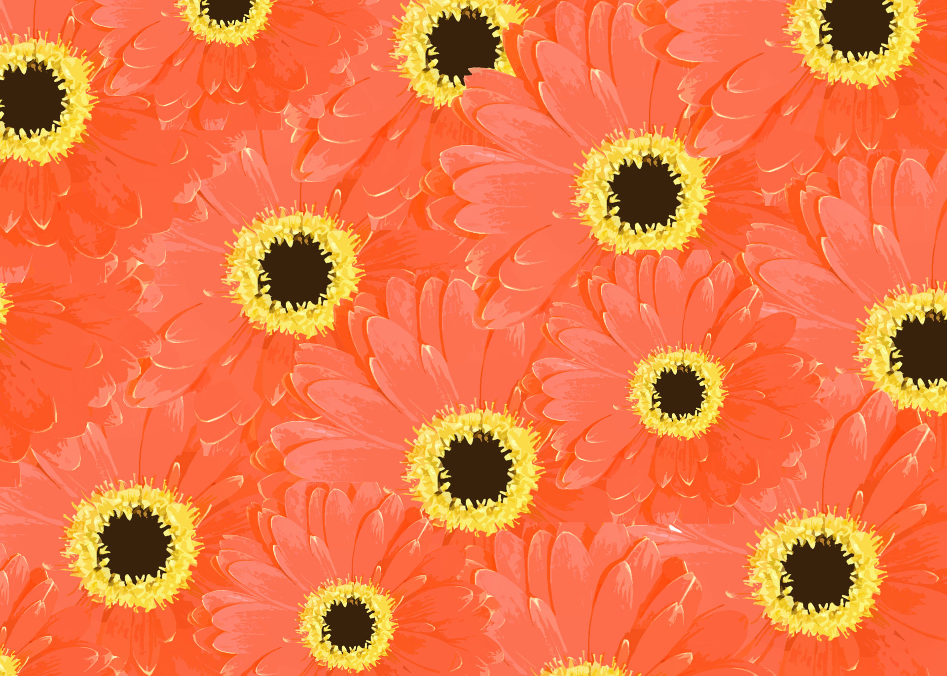 gerbera daisy flower free photo