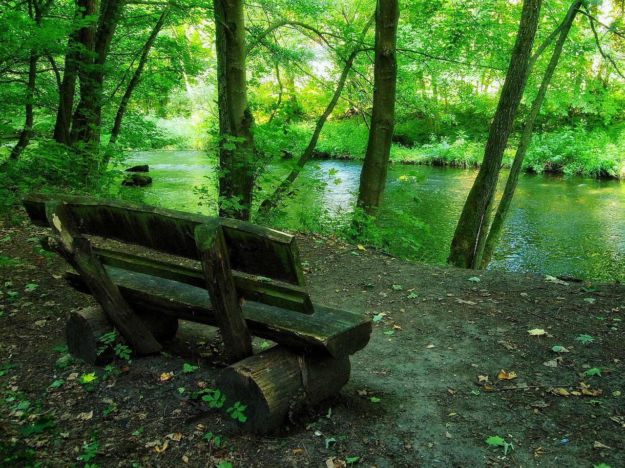 german stream creek free photo