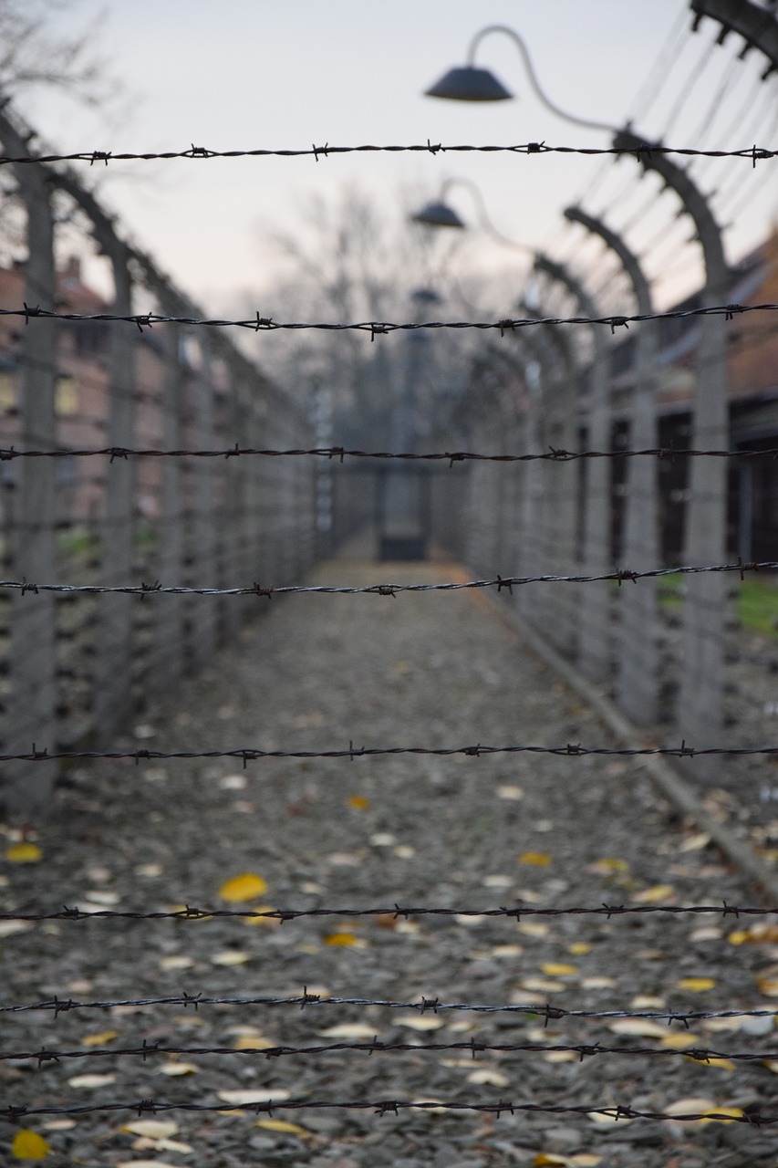 german death camp  auschwitz  history free photo