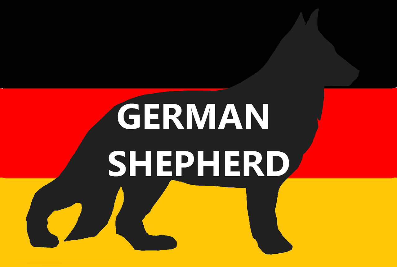 german shepherd dog pet free photo