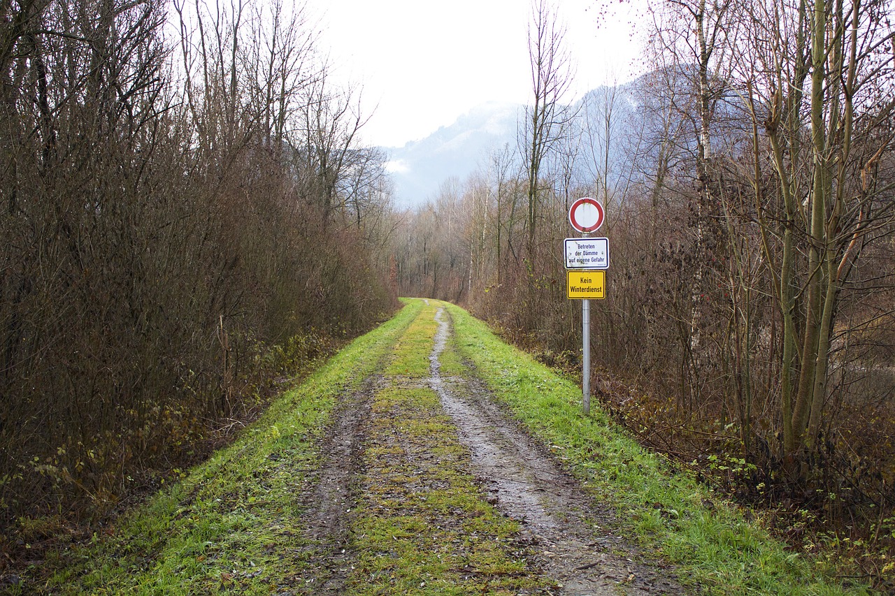 germany bavaria forest free photo