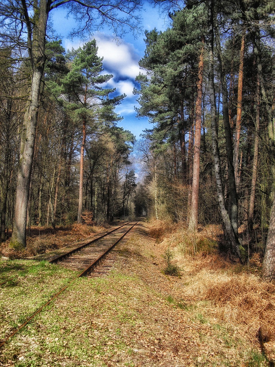 germany railroad railway free photo