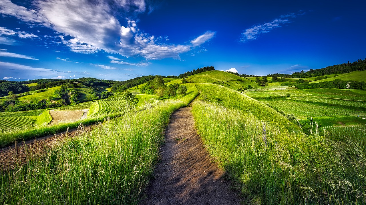 germany vineyards landscape free photo